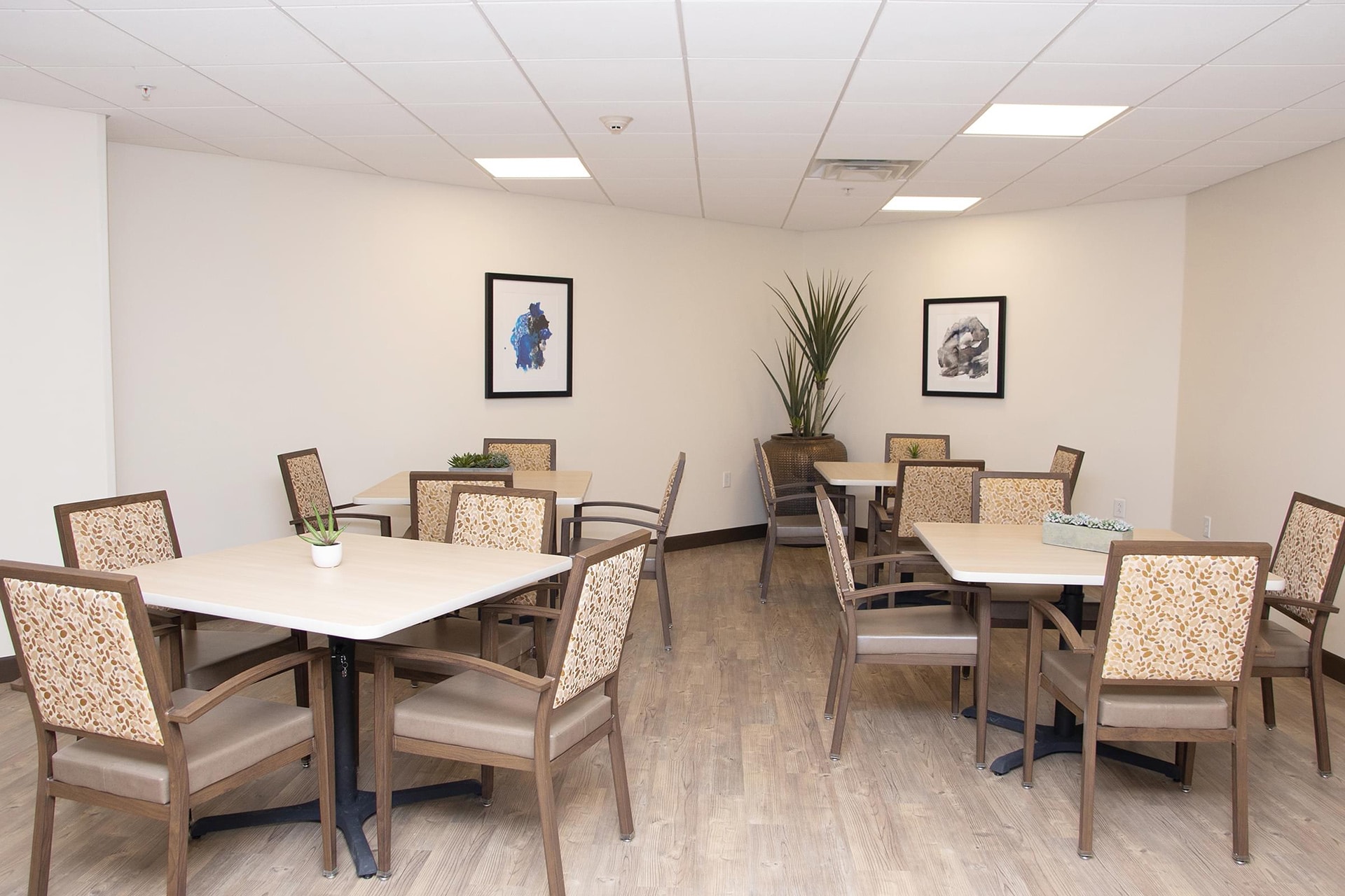 Haven Health Lake Havasu dinning room