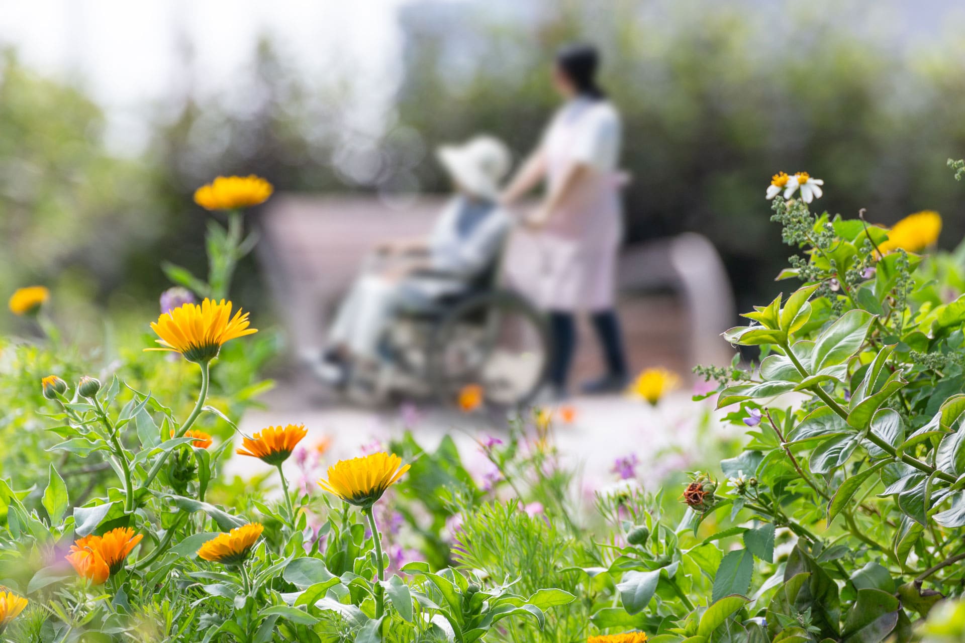 nurse pushing the patients wheelchair while strolling outside