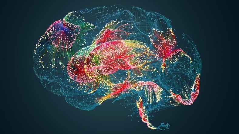 A 3D Rendering Of Human Brain Activity In Those With Dementia. 