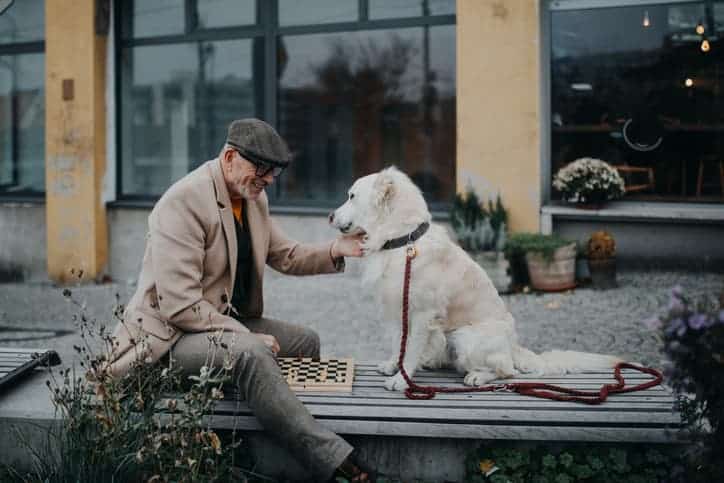 elderly man playing chess outside by dog