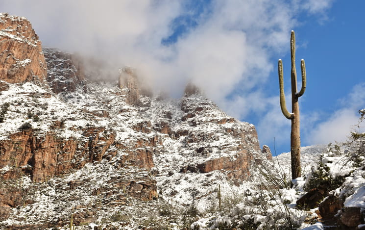A Snowy Desert During The Winter. 