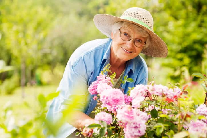 A Senior Planting Flowers In Her Garden During The Summer.